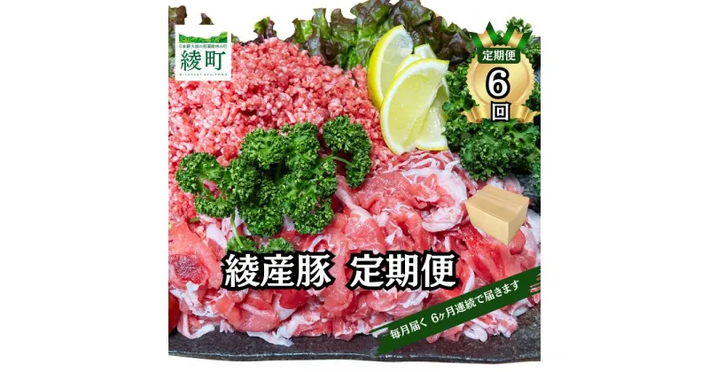 【ふるさと納税】綾町産 豚こま＆ミンチ1.5kg【全6回定期便】（0023-010）