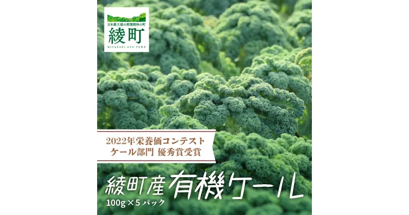 【ふるさと納税】 綾町産有機ケール 500g[おすすめレシピ付き] 有機栽培 栄養 健康 スーパーフード 送料無料