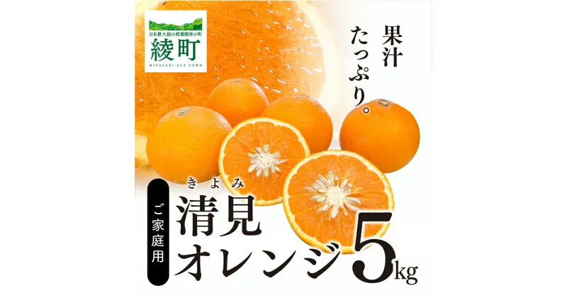 【ふるさと納税】清見 5kg 果物 フルーツ オレンジ 蜜柑 ギフト 贈答 送料無料