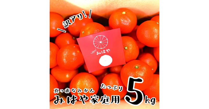 【ふるさと納税】みはや 5kg【訳あり】 みかん ギフト 贈答 送料無料