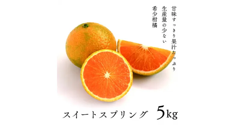 【ふるさと納税】希少柑橘「スイートスプリング」5kg [化粧箱] はっさく みかん ギフト 贈答 送料無料