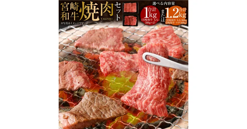 【ふるさと納税】＜宮崎和牛 焼肉用 1kg＞または＜宮崎和牛 焼肉セット 計1.2kg＞※入金確認後、2か月以内に順次出荷します。セット モモ 焼肉 花いちもんめ 牛肉 肉 宮崎牛 和牛 国産 焼肉 ウデ モモ 特産品 キャンプ 宮崎県 高鍋町 【冷凍】