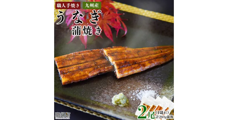 【ふるさと納税】＜職人手焼き九州産うなぎ 蒲焼き2尾（4切れ）計260g前後＞ ※入金確認後、翌月末迄に順次出荷します。ウナギ 鰻 宮崎県 高鍋町【冷凍】