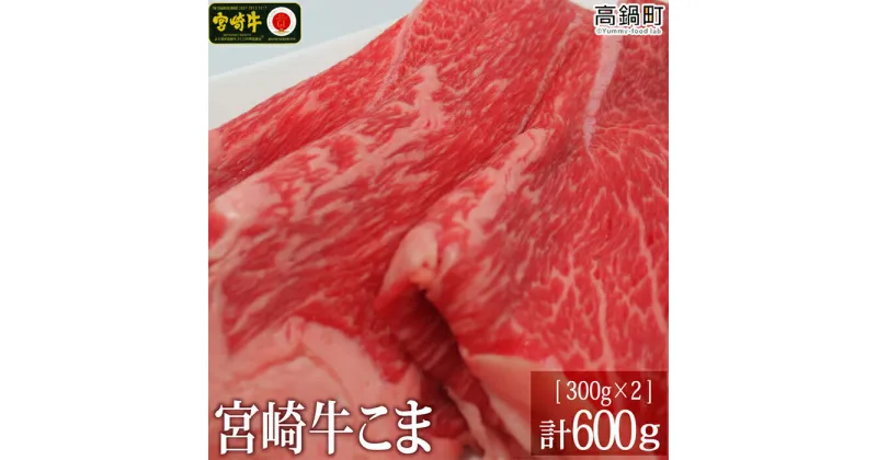 【ふるさと納税】＜宮崎牛こま600g(300g×2)＞ ※入金確認後、3か月以内に順次出荷します。こま肉 牛肉 特産品 牛乃屋 宮崎県 高鍋町 【冷凍】