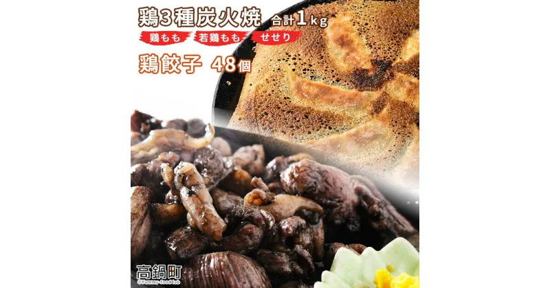 【ふるさと納税】鶏専家一本気＜鶏3種炭火焼き1kg+鶏餃子48個＞ ※入金確認後、翌月末迄に順次出荷します。つまみ おかず とり 鶏肉 餃子 特産品 宮崎県 高鍋町【冷凍】