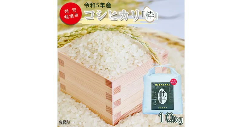 【ふるさと納税】 ＜令和5年度 特別栽培米「粋」コシヒカリ 10kg＞ ※入金確認後、翌月末迄に順次出荷します。 こしひかり コメ こめ　米 高鍋町 桑原 送料無料 【常温】