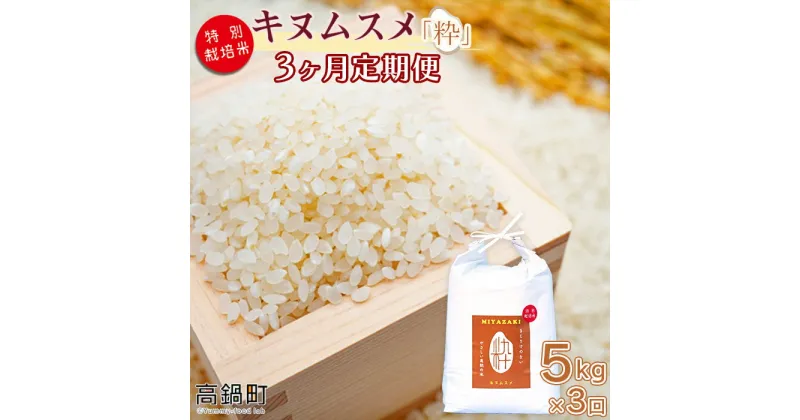 【ふるさと納税】 ＜令和5年度 特別栽培米「粋」キヌムスメ 5kg（3か月定期便）＞ ※翌月下旬に第一回目発送（12月は中旬） きぬむすめ 定期便 15kg お米 精米 単一原料米 宮崎県産 高鍋町 桑原 送料無料【常温】