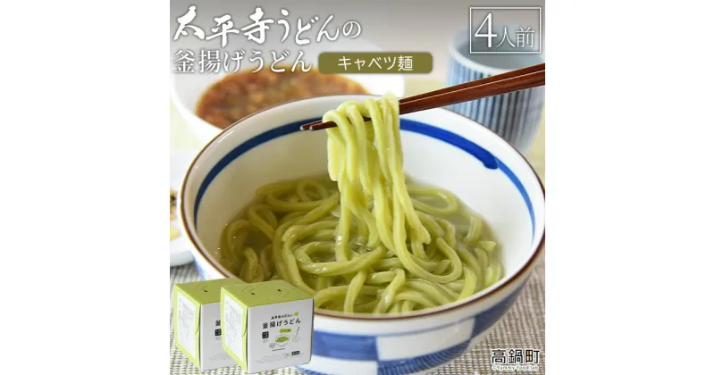 【ふるさと納税】＜太平寺うどんの釜揚げうどん キャベツ麺（4人前）＞※入金確認後、翌月末迄に順次出荷します。 麺類 ゆず胡椒 天然だし 野菜 ベジタブル 無添加 保存食 備蓄 お土産 宮崎県 高鍋町【冷凍】