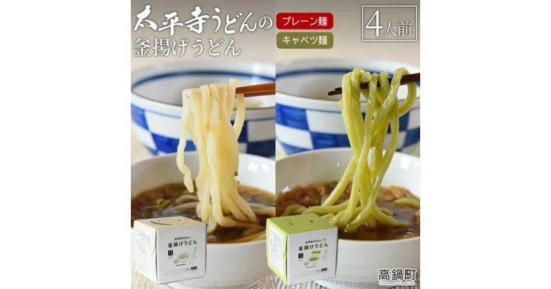 【ふるさと納税】＜太平寺うどんの釜揚げうどん プレーン麺（2人前）×キャベツ麺（2人前）セット＞※入金確認後、翌月末迄に順次出荷します。 麺類 ゆず胡椒 天然だし 無添加 野菜 ベジタブル 保存食 備蓄 お土産 宮崎県 高鍋町【冷凍】