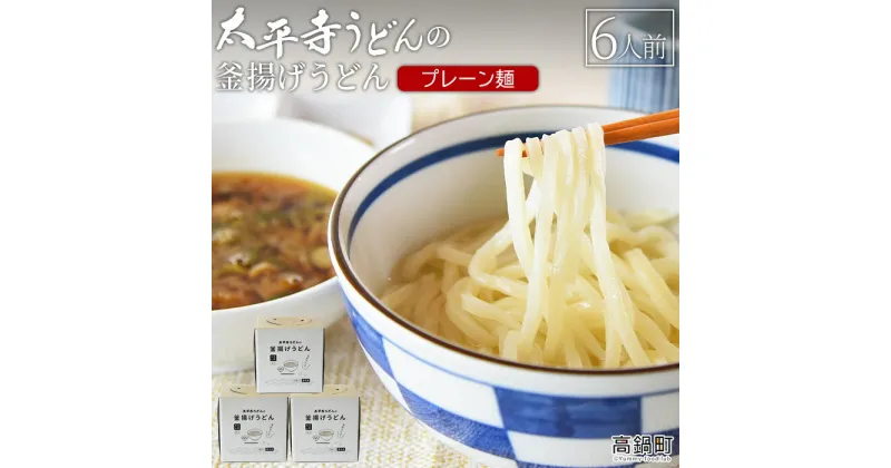 【ふるさと納税】＜太平寺うどんの釜揚げうどん プレーン麺（6人前）＞※入金確認後、翌月末迄に順次出荷します。 麺類 ゆず胡椒 天然だし 無添加 保存食 備蓄 お土産 宮崎県 高鍋町【冷凍】