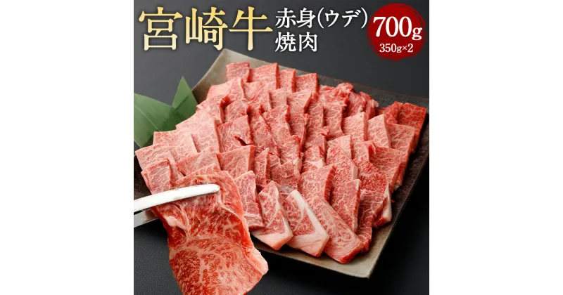 【ふるさと納税】＜赤身（ウデ）焼肉 350g×2＞翌月末迄に順次出荷 宮崎牛 赤身 ウデ肉 焼肉用 焼肉 BBQ バーベキュー 牛 お肉 牛肉 黒毛和牛 和牛 九州 国産 冷凍 宮崎県 高鍋町 送料無料