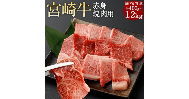 【ふるさと納税】【選べる容量】＜宮崎牛 赤身焼肉 計400g～1.2kg＞翌月末迄に順次出荷 400g 800g 1.2kg 宮崎牛 赤身 焼肉 焼き肉 BBQ バーベキュー スライス 牛 お肉 牛肉 黒毛和牛 和牛 九州 国産 冷凍 宮崎県 高鍋町 送料無料