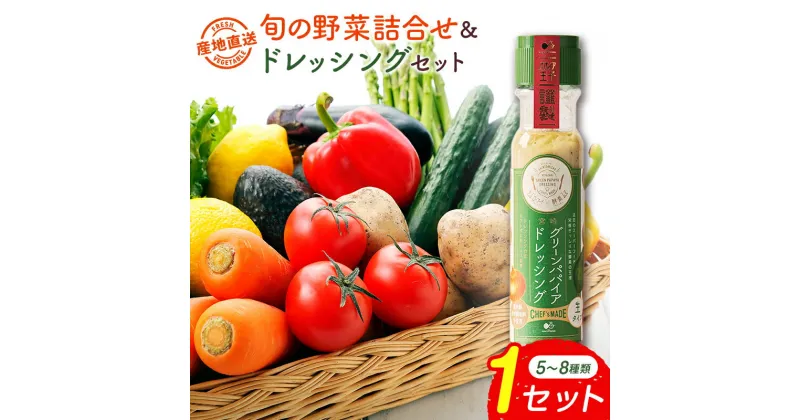 【ふるさと納税】産地直送！旬の野菜（5～8種類）＆ドレッシング セット お試し おまかせ 詰合せ 宮崎県新富町産