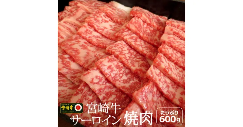 【ふるさと納税】宮崎牛 サーロイン 焼肉 600g 約6～7人前 霜降り bbq 和牛 牛肉 国産 宮崎県産 送料無料