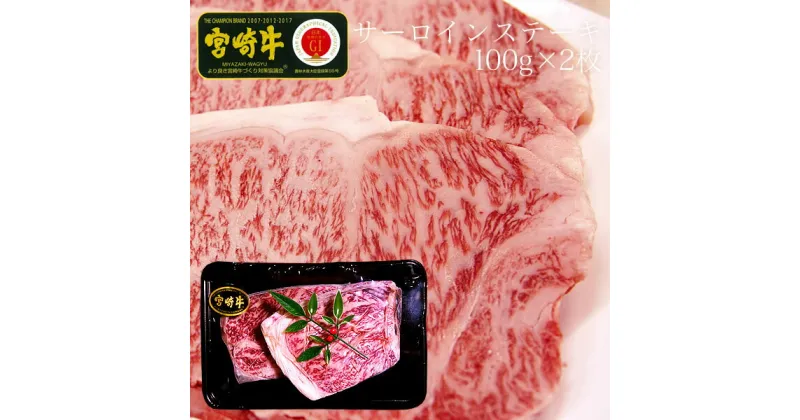 【ふるさと納税】宮崎牛 サーロインステーキ 合計200g（100g×2枚） ステーキ 和牛 冷凍 焼肉 送料無料