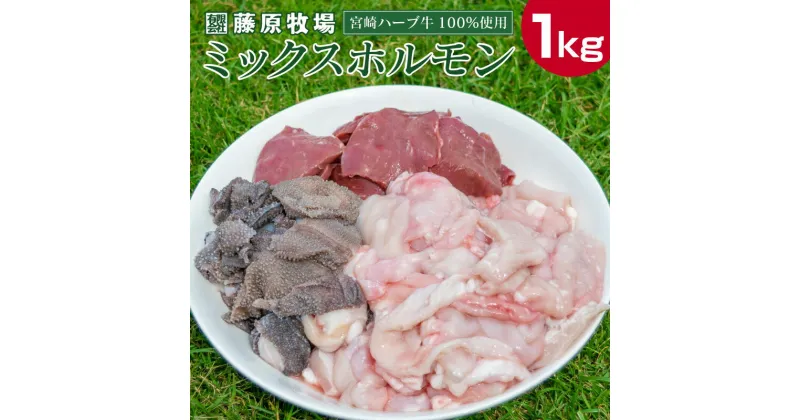 【ふるさと納税】宮崎ハーブ牛 ミックスホルモン 計1kg（200g×5パック）小分けで便利 宮崎県産 小腸 ミノ ギアラ センマイ ハツ シマ腸 冷凍 牛肉 国産 送料無料