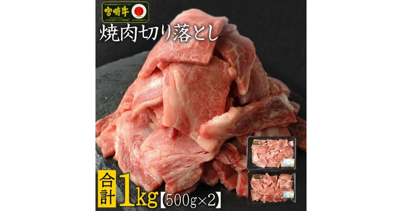 【ふるさと納税】宮崎牛 焼肉 切り落とし 合計1kg（500g×2P）ウデ 牛肉 切り落し 切落し BBQ 国産 普段使い 九州産