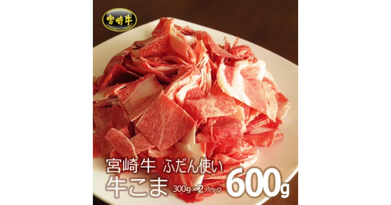 【ふるさと納税】宮崎牛こま 合計600g（300g×2パック）牛肉 A4 小間 普段使い 冷凍 内閣総理大臣賞受賞 宮崎県産 国産 送料無料