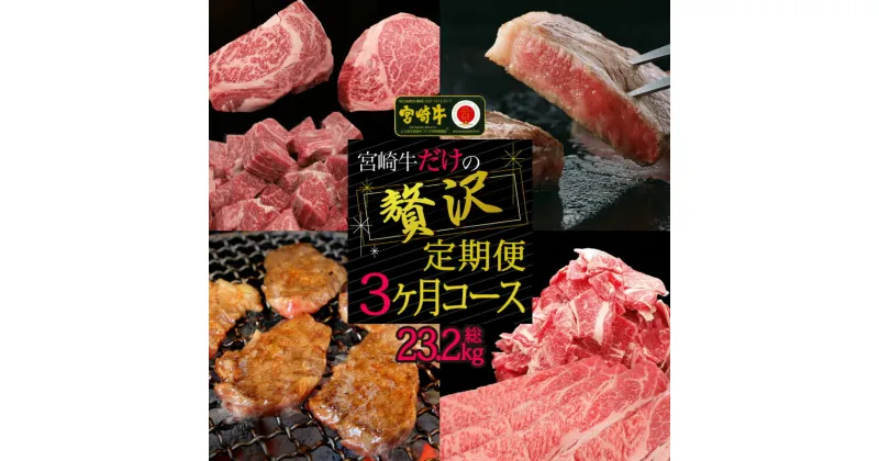 【ふるさと納税】宮崎牛だけの贅沢定期便3ヶ月コース【定期便】 牛肉 ステーキ 焼肉 BBQ スライス しゃぶしゃぶ すき焼き 冷凍 内閣総理大臣賞受賞 宮崎県産 九州産 送料無料