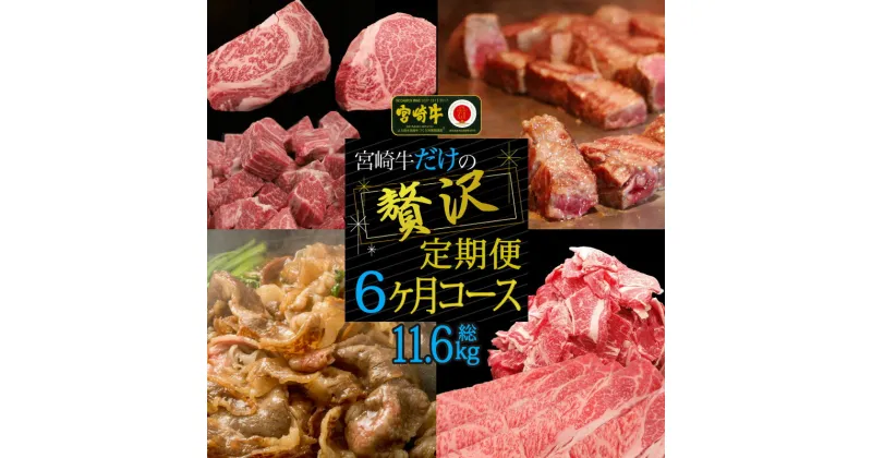 【ふるさと納税】宮崎牛だけの贅沢定期便6ヶ月コース【定期便】 牛肉 ステーキ 焼肉 BBQ スライス しゃぶしゃぶ すき焼き 冷凍 内閣総理大臣賞受賞 宮崎県産 九州産 送料無料