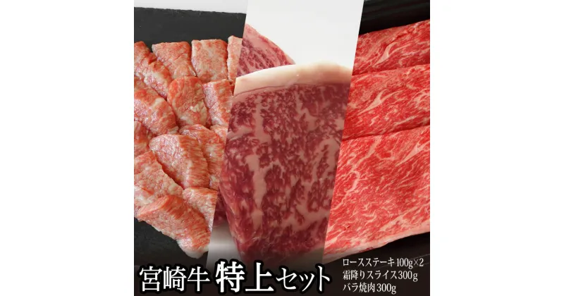 【ふるさと納税】宮崎牛 特上セット 合計800g（ロースステーキ100g×2枚・霜降りスライス300g・牛バラ焼き肉300g） 牛肉 真空 冷凍 国産 送料無料