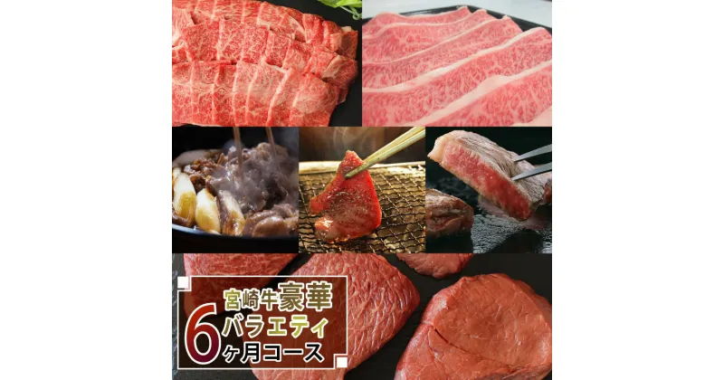 【ふるさと納税】【定期便】宮崎牛豪華バラエティ6ヶ月コース 合計4.6kg 牛肉 冷凍 内閣総理大臣賞受賞 宮崎県産 九州産 送料無料