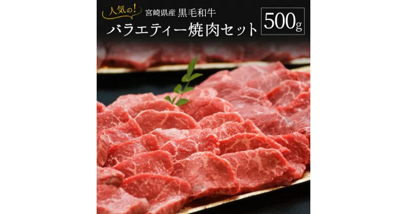 【ふるさと納税】人気の宮崎県産黒毛和牛バラエティー焼肉セット 500g