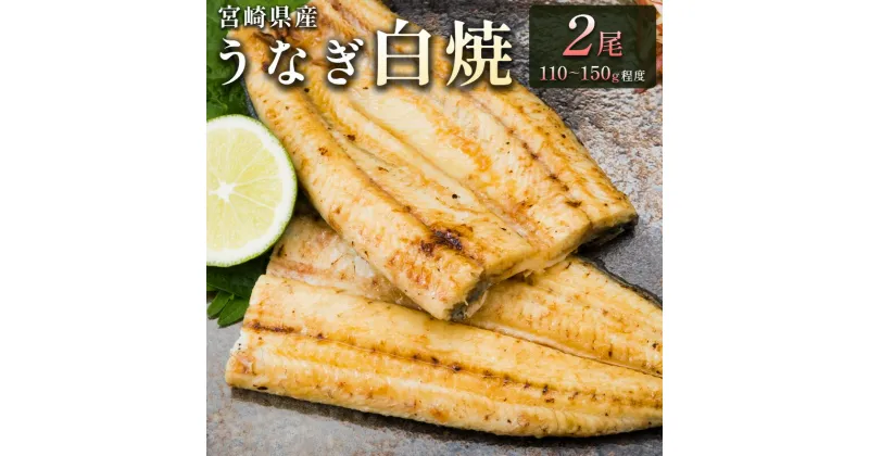 【ふるさと納税】＜玄人の一品＞宮崎県産うなぎ白焼き 2尾(110～150g) 蒲焼タレ付（50ml×1本）