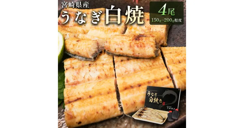 【ふるさと納税】［玄人の一品］うなぎ白焼き 4尾 合計600g以上 宮崎県産鰻 化粧箱入り 蒲焼タレ付