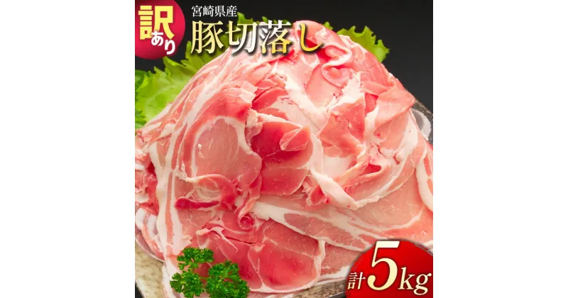 【ふるさと納税】＼レビューキャンペーン／「訳あり」宮崎県産 豚切落し 5kg 国産 豚肉 精肉 人気 小分け