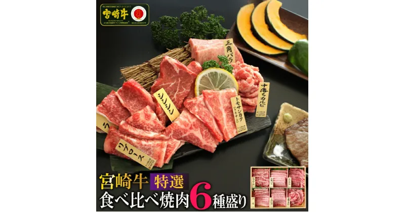 【ふるさと納税】宮崎牛 特選 食べ比べ焼肉6種盛り 合計600g(各100g) 国産 送料無料