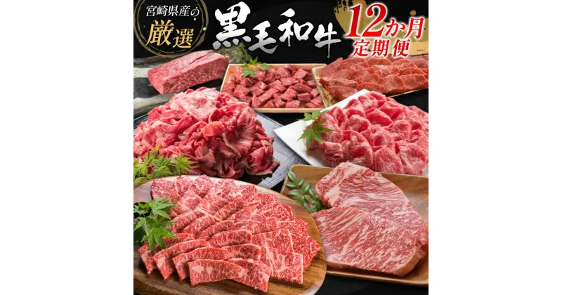 【ふるさと納税】宮崎県産黒毛和牛 12か月定期便 牛肉 焼肉 ステーキ 国産