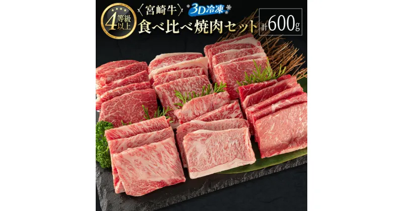 【ふるさと納税】＜3D冷凍＞宮崎牛 食べ比べ 焼肉 セット(100g×6種類) 4等級 A4ランク 牛肉 ブランド