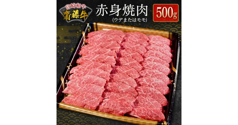 【ふるさと納税】宮崎和牛『齋藤牛』赤身焼肉 500g