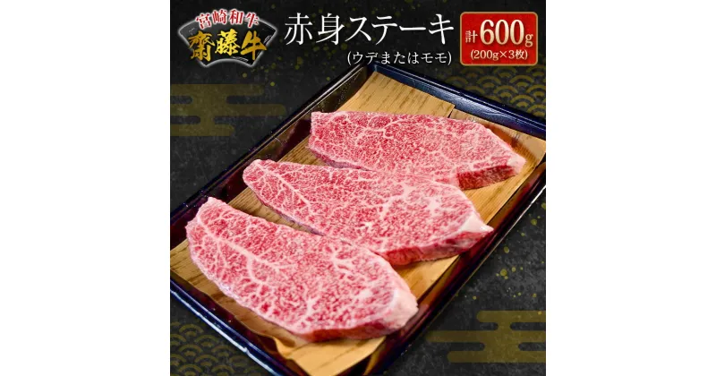 【ふるさと納税】宮崎和牛『齋藤牛』赤身ステーキ(200g×3枚) 計600g