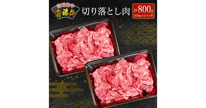 【ふるさと納税】宮崎和牛『齋藤牛』切り落とし肉 計800g (400g×2パック)