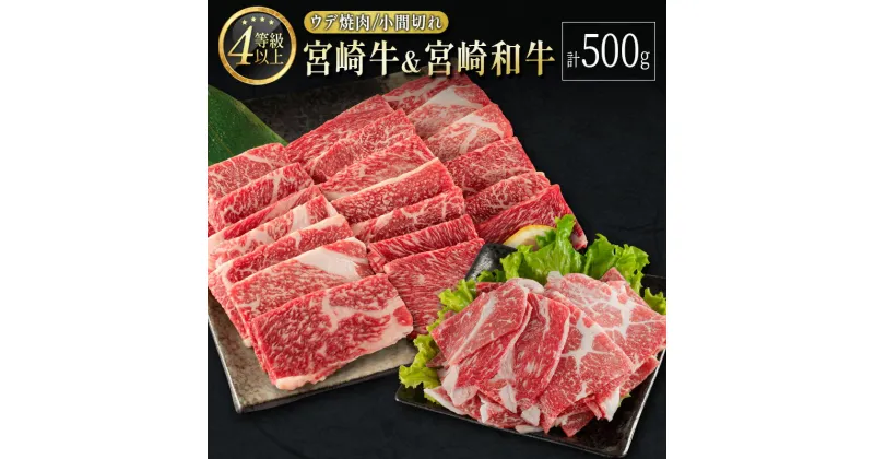 【ふるさと納税】宮崎牛＆宮崎和牛（ウデ焼肉／小間切れ）計500g 国産 肉 牛肉 ご飯 おかず すき焼き 牛丼 BBQ お弁当