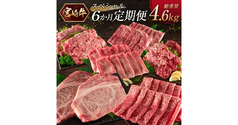 【ふるさと納税】《お楽しみ 6種》［宮崎牛］スペシャル 6か月定期便 総重量4.6kg