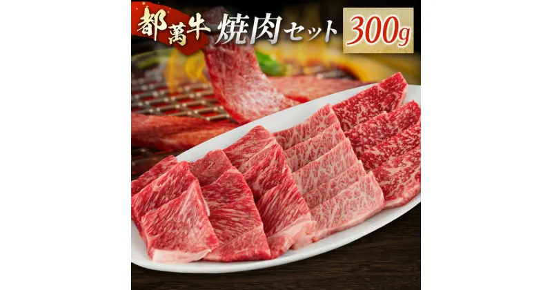 【ふるさと納税】赤身主体の黒毛和牛＜都萬牛＞焼肉セット 300g