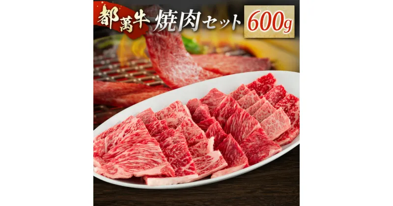 【ふるさと納税】赤身主体の黒毛和牛＜都萬牛＞焼肉セット 600g