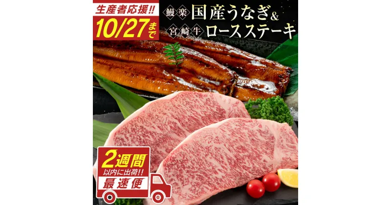 【ふるさと納税】＼レビューキャンペーン／＜10/27まで受付!!＞鰻楽 国産うなぎ 2尾 計360g ＆ 宮崎牛 ロースステーキ 250g×2枚 計500g 最速便 2週間以内に出荷 肉質等級4等級 国産 人気 おすすめ