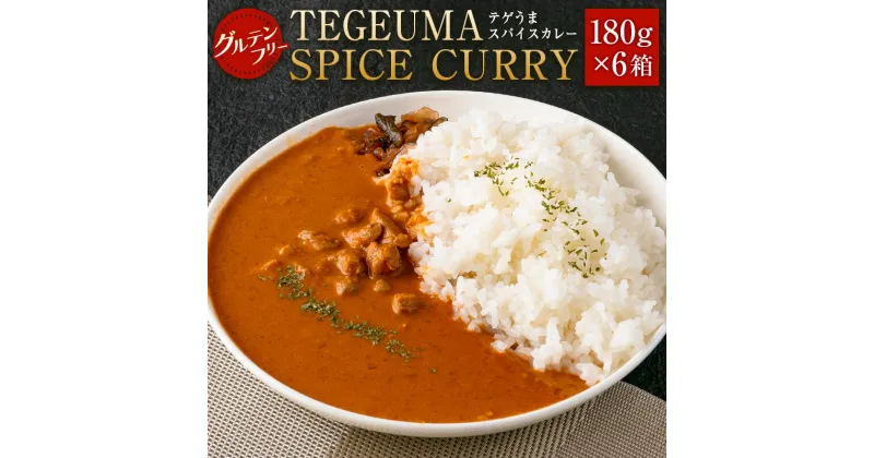 【ふるさと納税】グルテンフリー 無水チキンカレー TEGEUMA SPICE CURRY（テゲうまスパイスカレー）180g×6箱