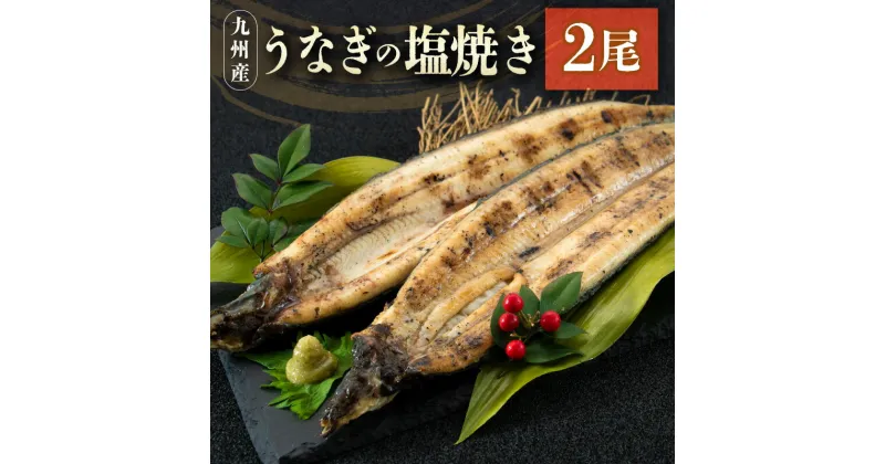 【ふるさと納税】うなぎの塩焼き 2尾 合計320g以上 九州産