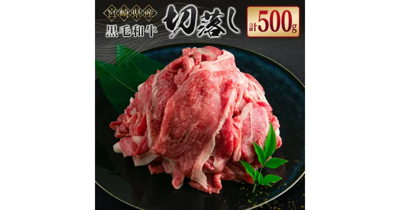 【ふるさと納税】宮崎県産 黒毛和牛切落し 500g