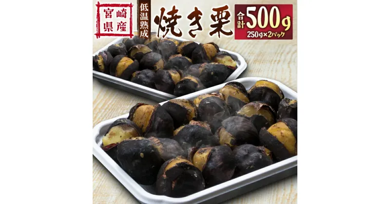 【ふるさと納税】＜先行予約＞宮崎県産 低温熟成栗［焼き栗］計500g（250g×2パック）