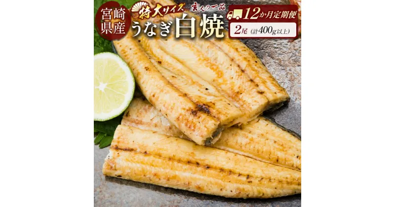 【ふるさと納税】＜12か月定期便＞【玄人の一品】うなぎ白焼き 2尾 計400g以上