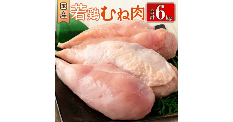 【ふるさと納税】国産若鶏むね肉 合計6kg 鶏肉 九州産