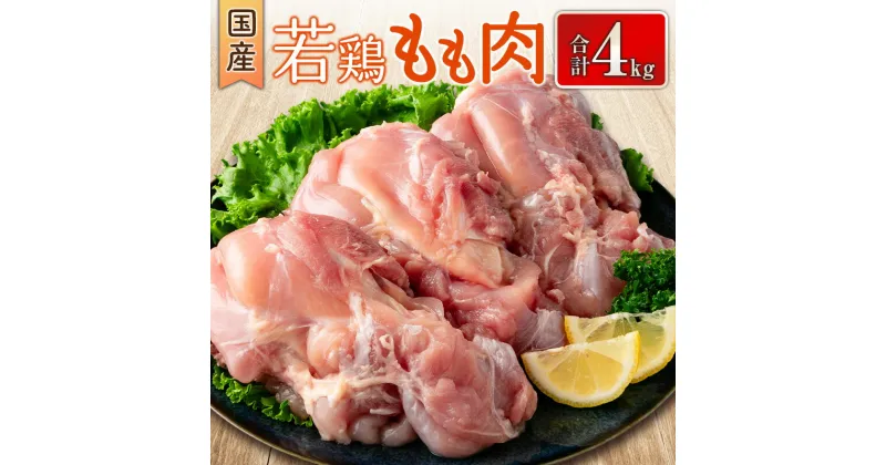 【ふるさと納税】国産若鶏もも肉 合計4kg 鶏肉 九州産