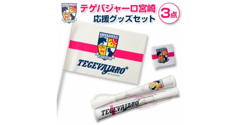 【ふるさと納税】テゲバジャーロ宮崎　応援グッズセット　サッカー Jリーグ 公式 送料無料