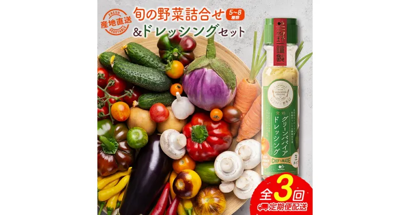 【ふるさと納税】産地直送！旬の野菜（5～8種類）＆ドレッシング セット 3か月定期便 おまかせ 詰合せ 宮崎県新富町産